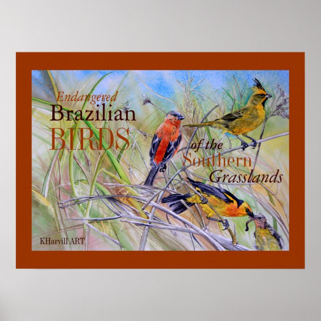 Poster d'art des oiseaux des Prairies brésiliennes (Devant)