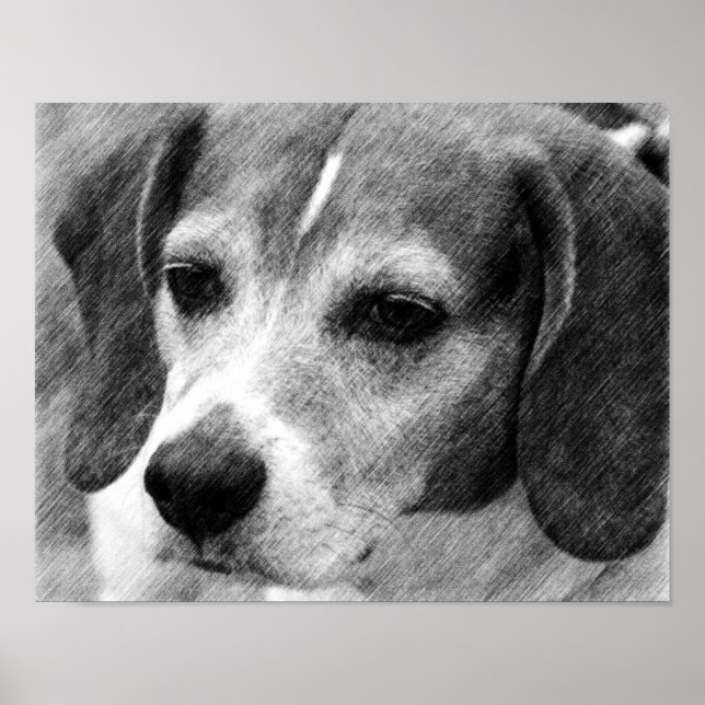 Poster d'art du visage de chien beagle (Devant)