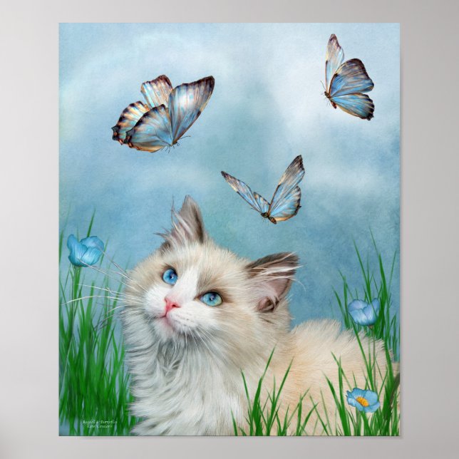 Poster D'Art Et Papillons Ragdoll Kitty Et Papillo (Devant)