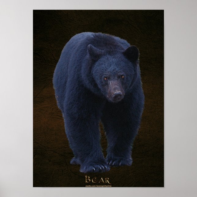 Poster d'art faunique de l'ours noir avec Faux-cui (Devant)