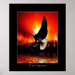Poster d'art FIRESTORE Bald Eagle