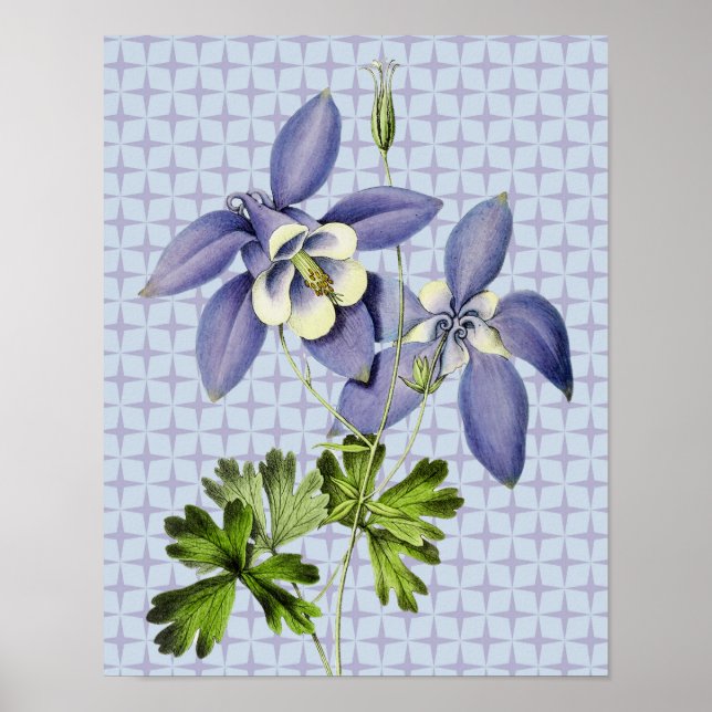 Poster d'art floral de la Columbine vintage (Devant)