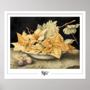 Poster d'art Giovanna Garzoni Zedign #1