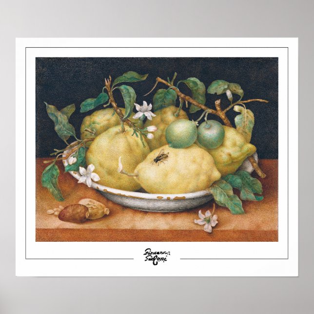 Poster d'art Giovanna Garzoni Zedign #4 (Devant)