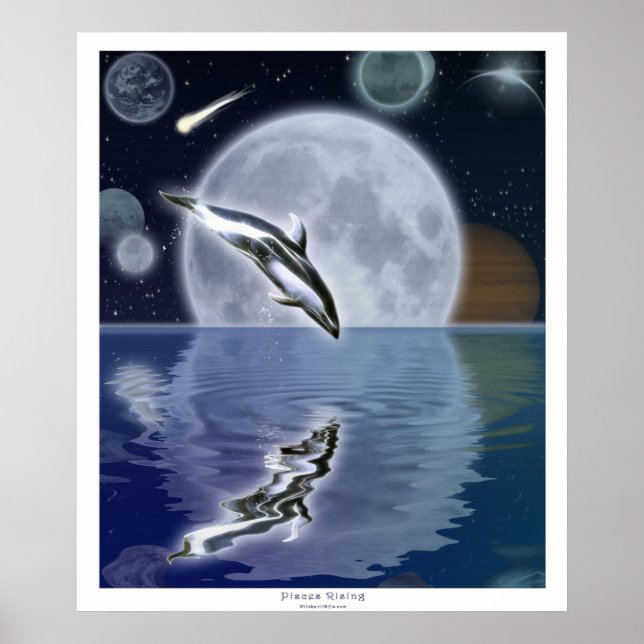 Poster d'art Imaginaire DOLPHIN & MOON II (Devant)