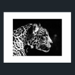 Poster d'art Jaguar Pop Imprimer - Posters Jaguar<br><div class="desc">Posters portraits Jaguar noir et blanc - Pop Art Jaguar Image - Big Wild Cats Prints - The Head of the Jaguar - Face of Jaguar</div>
