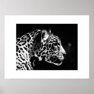 Poster d'art Jaguar Pop Imprimer - Posters Jaguar