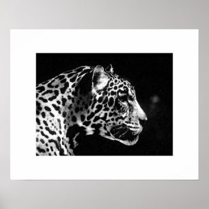 Poster d'art Jaguar Pop Imprimer - Posters Jaguar
