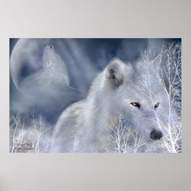Poster d'art Loup blanc/Imprimer (Devant)