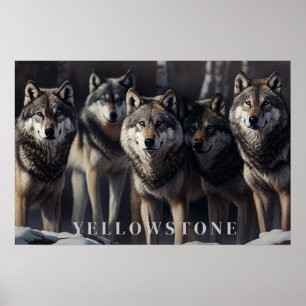 Poster d'art Loups de Yellowstone