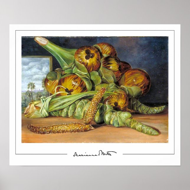 Poster d'art Marianne North Zedign #52 (Devant)