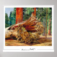 Poster d'art Marianne North Zedign #7