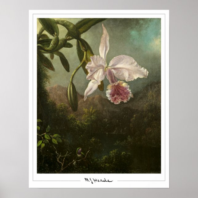 Poster d'art Martin Johnson Heade Zedign #2 (Devant)