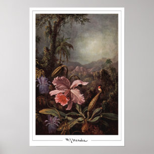 Poster d'art Martin Johnson Heade Zedign #202