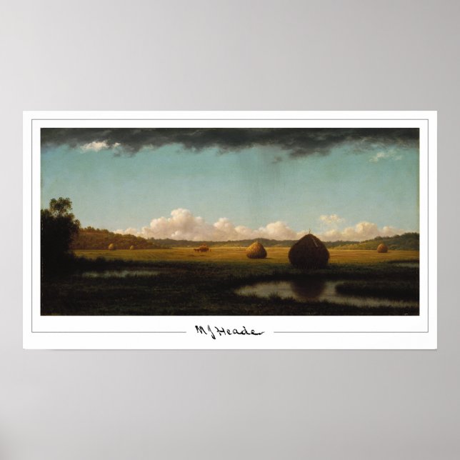 Poster d'art Martin Johnson Heade Zedign #35 (Devant)