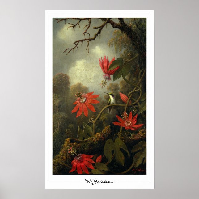 Poster d'art Martin Johnson Heade Zedign #36 (Devant)