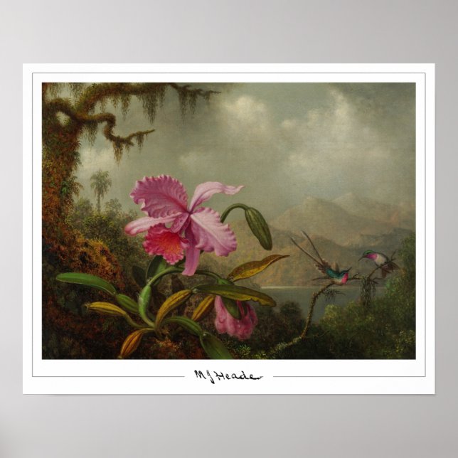 Poster d'art Martin Johnson Heade Zedign #51 (Devant)