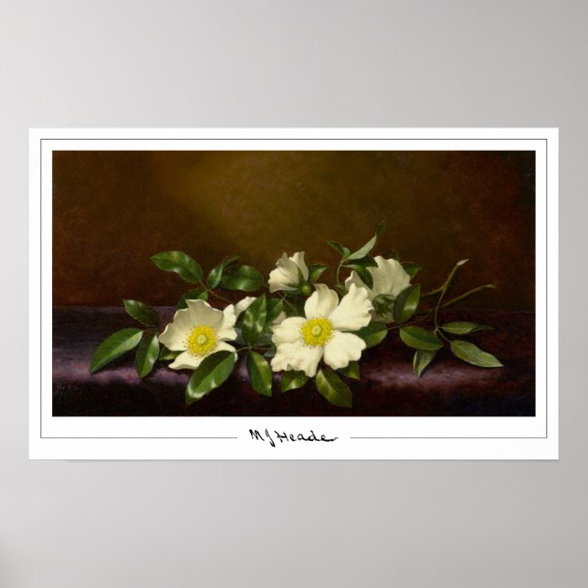 Poster d'art Martin Johnson Heade Zedign #52 (Devant)