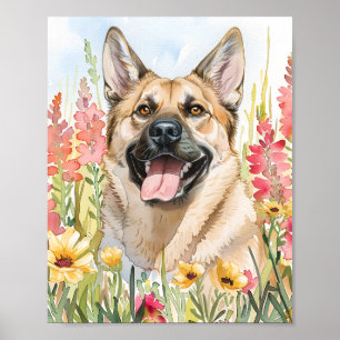Poster d'art norvégien Elkhound Watercolor Chien