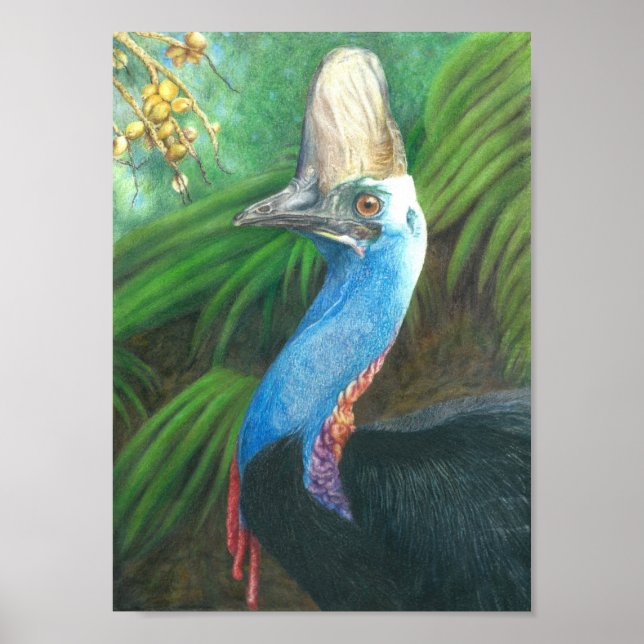 Poster D'Art Original Peint À La Main De Cassowary (Devant)