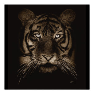 Poster d'art original Tiger Imprimer