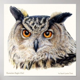 Poster d'art ornithologique