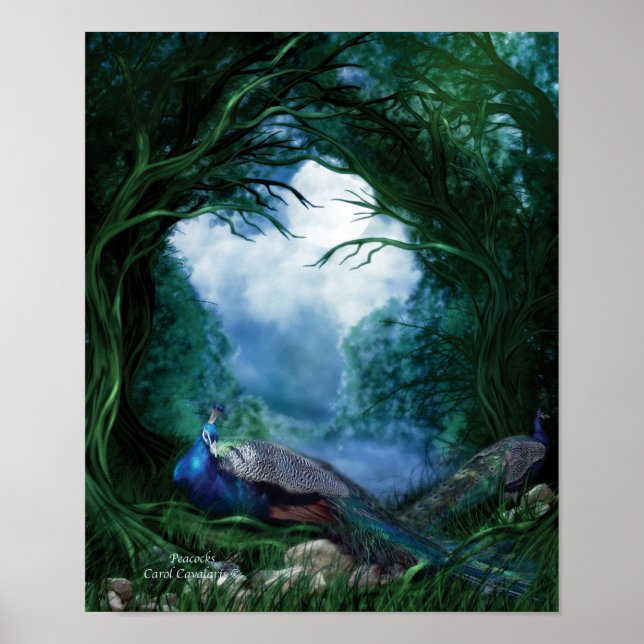 Poster d'art Peacocs/Imprimer (Devant)