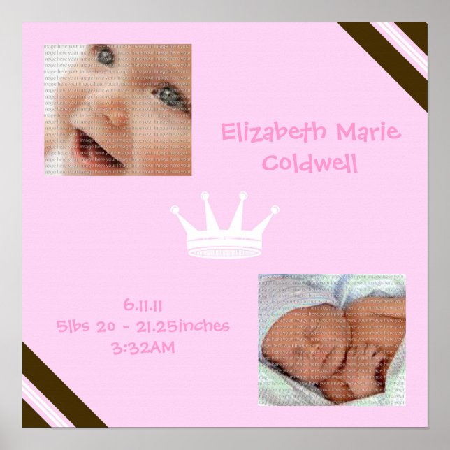 Poster d'art peint de la Reine rose de bébé (Devant)