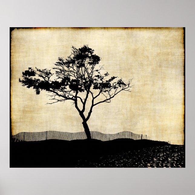 Poster d'art photo Silhouette Arbre (Devant)