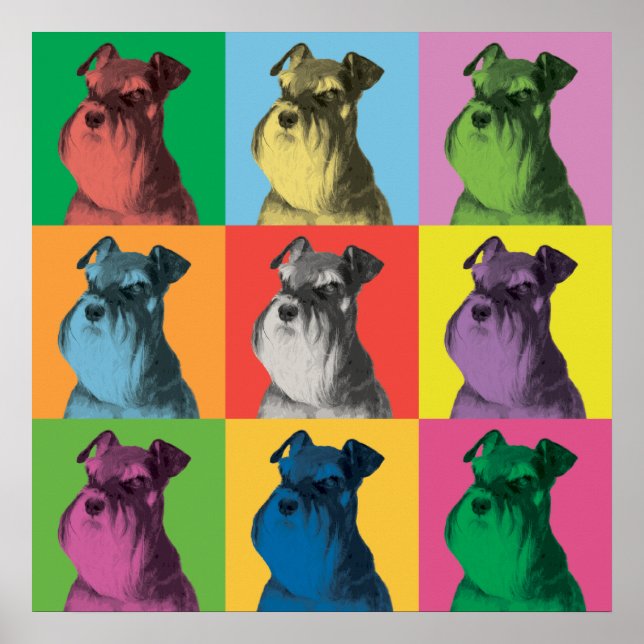 Poster d'art pop de Schnauzer miniature (Devant)