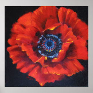 Poster d'art Red Poppy