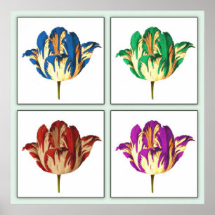 Poster d'art Rembrandt Tulip Pop Print