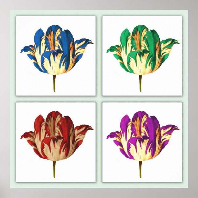 Poster d'art Rembrandt Tulip Pop Print (Devant)