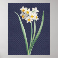Poster d'art rétro Vintage Daffodil