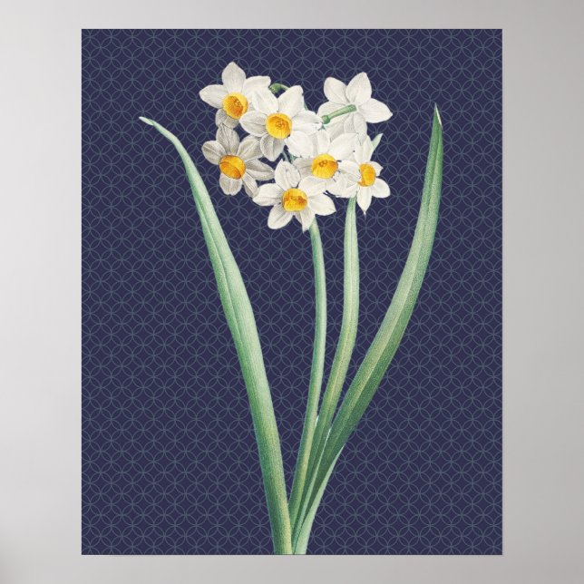 Poster d'art rétro Vintage Daffodil (Devant)