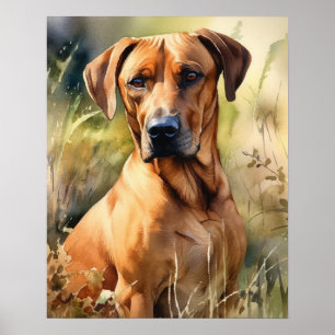 Poster d'art Rhodesian Ridgeback Dog