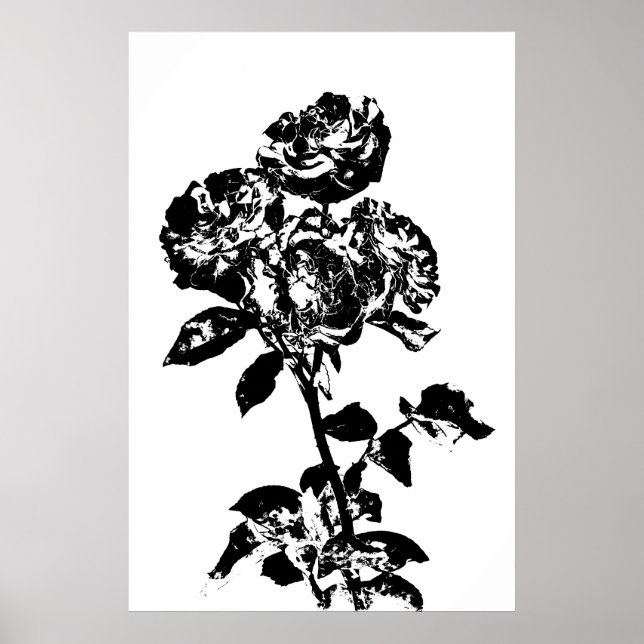 Poster d'art Rose illustré noir et blanc (Devant)