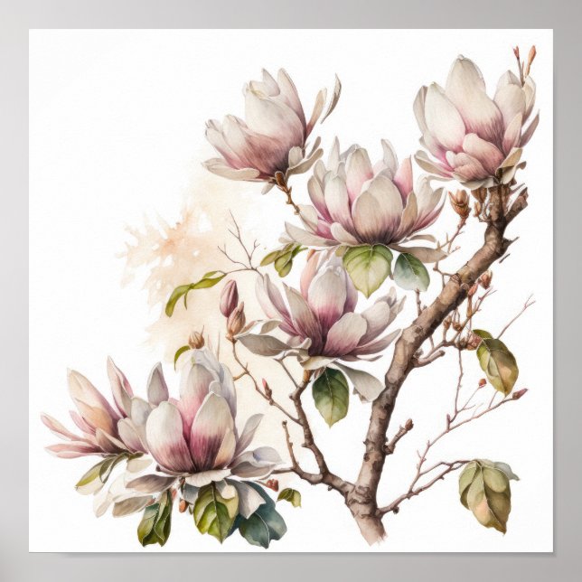 Poster d'art rose Magnolia Fleurs (Devant)