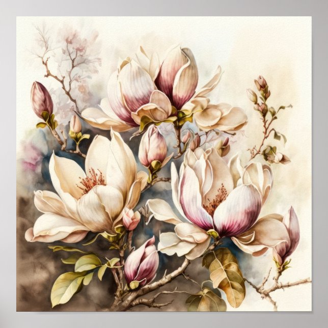 Poster d'art rose Magnolia Fleurs (Devant)