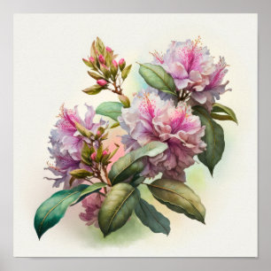 Poster d'art rose Rhododendron
