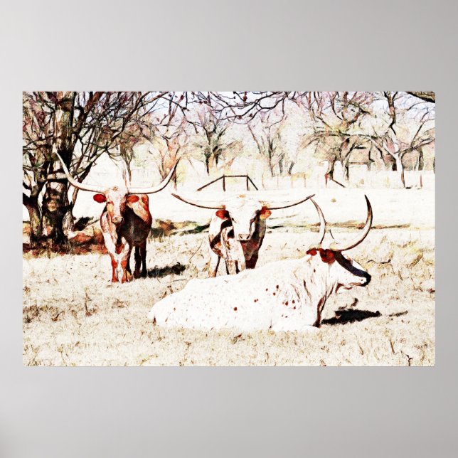 Poster d'art rustique Texas Longhorn Cow (Devant)