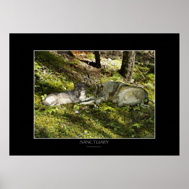 Poster d'art SANCTUAIRE (Devant)