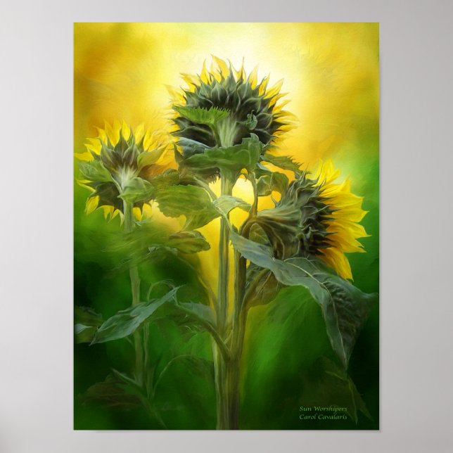 Poster d'art Sun Worshipers/Imprimer (Devant)