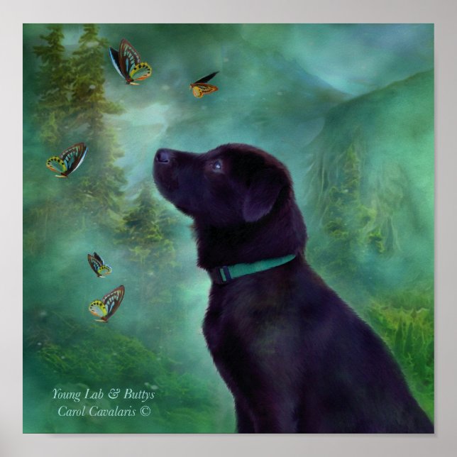 Poster d'art Young Lab & Buttys (Devant)