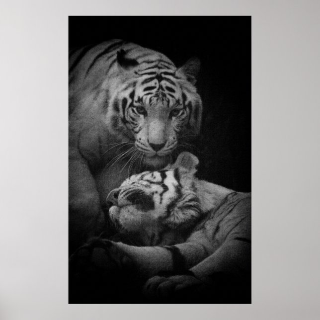 Poster d'assistance requis (Devant)