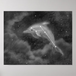 Poster dauphin Delphinus Constellation