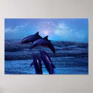 Poster Dauphins jouant dans l'océan