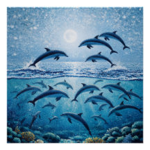 Dauphins pleine lune