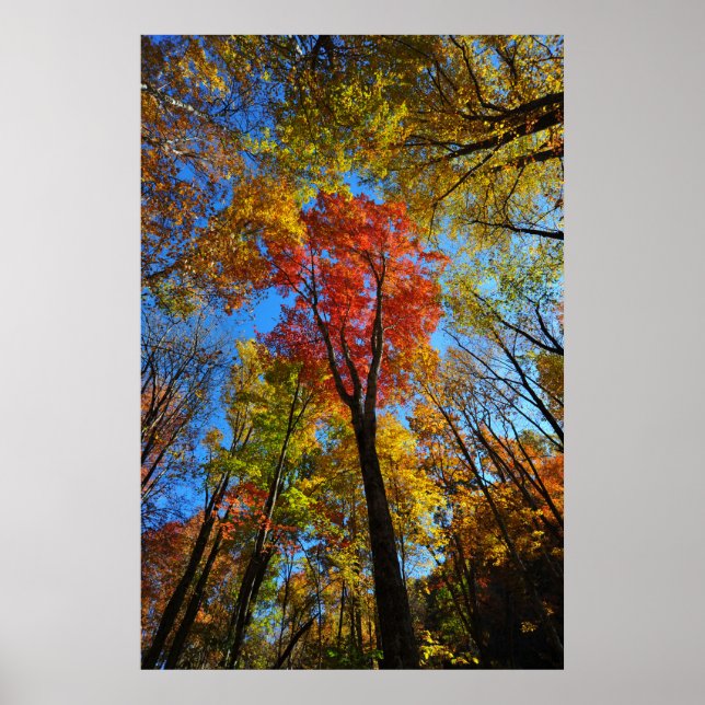 Poster d'automne (Devant)