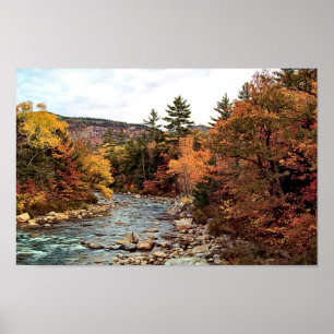 Poster d'automne de Swift River